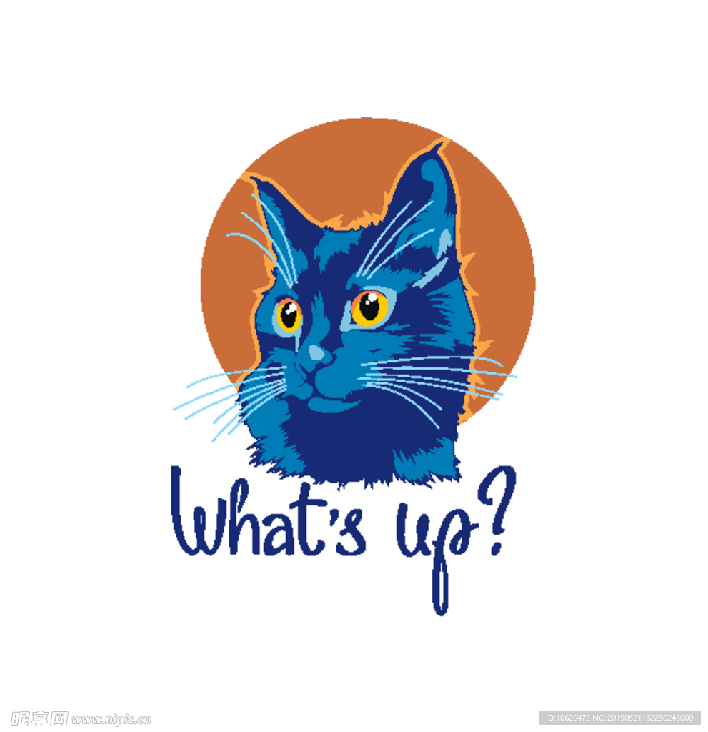 蓝猫
