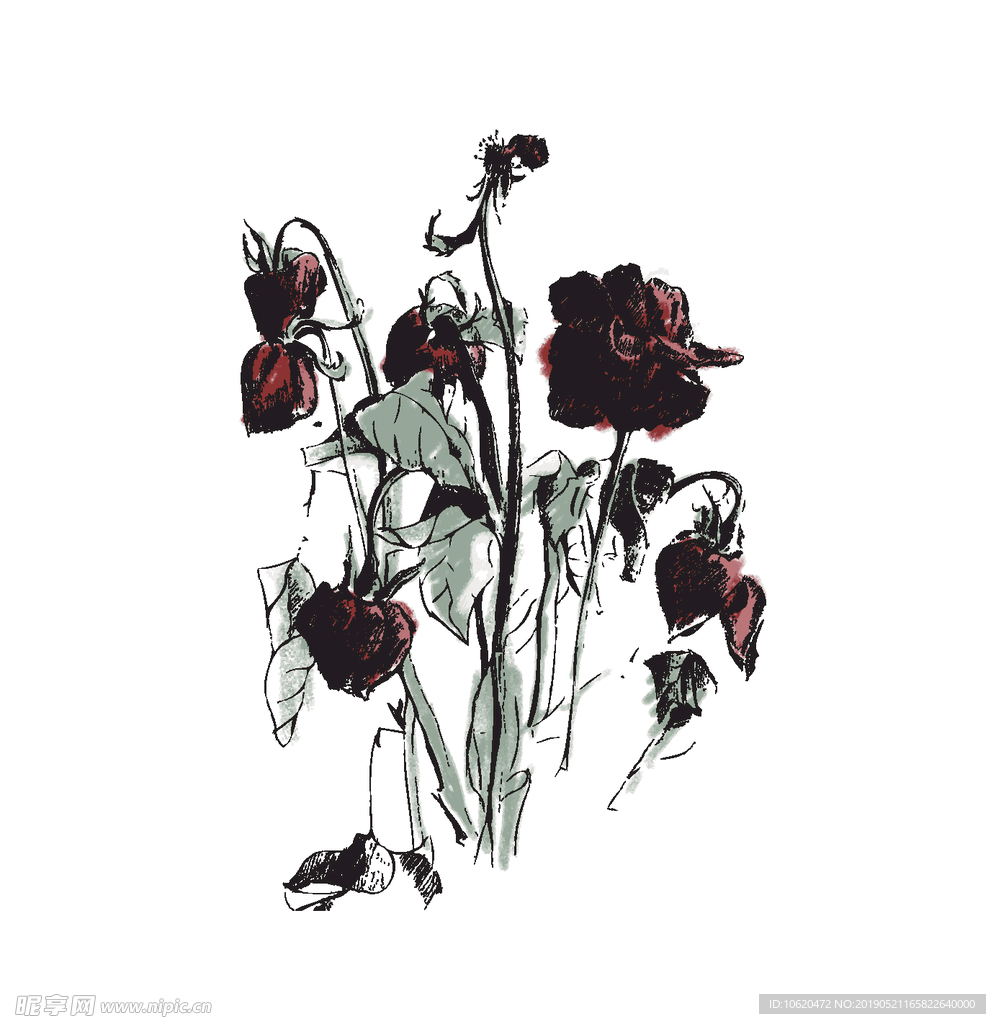 玫瑰花