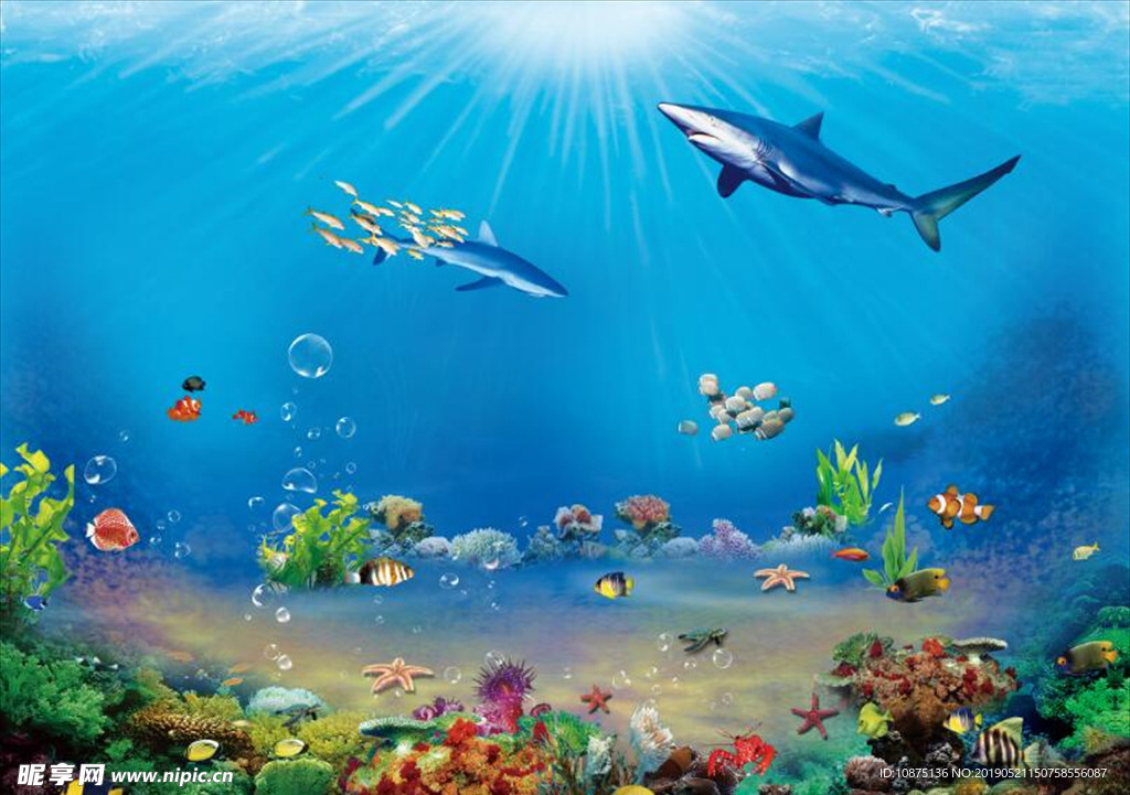 海洋