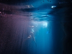 海底潜水