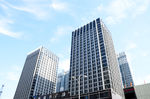 城市美景 建筑 风景 花园 场