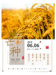黄色芒种节气海报