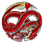 红龙