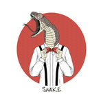 蛇先生