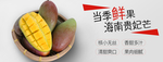 海南贵妃芒果
