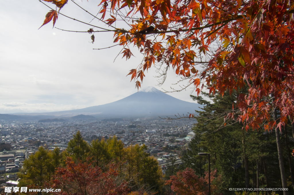 富士山