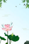 荷花背景