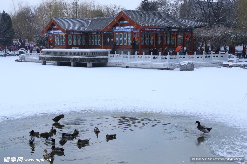 瑞雪大观园