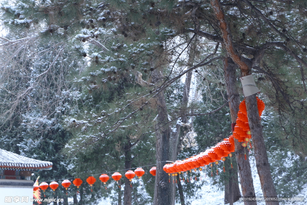 瑞雪大观园