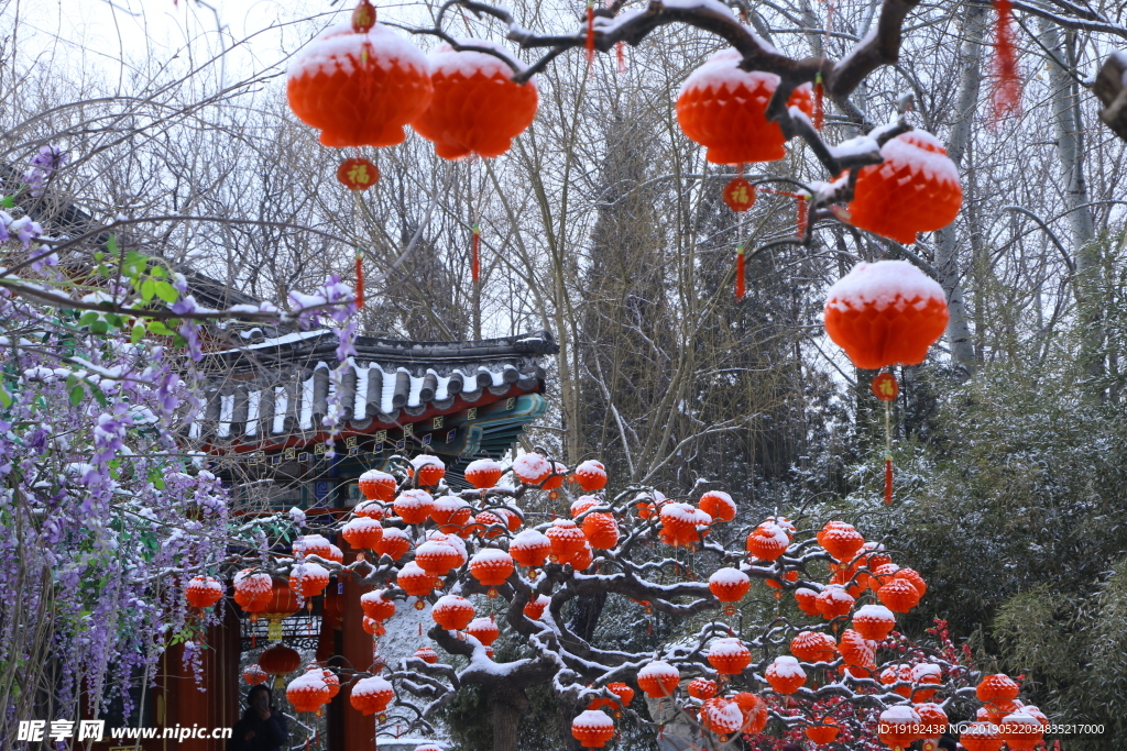 瑞雪大观园