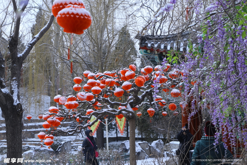 瑞雪大观园