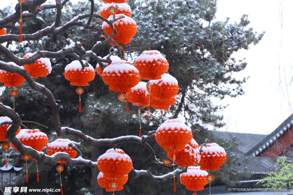 瑞雪大观园