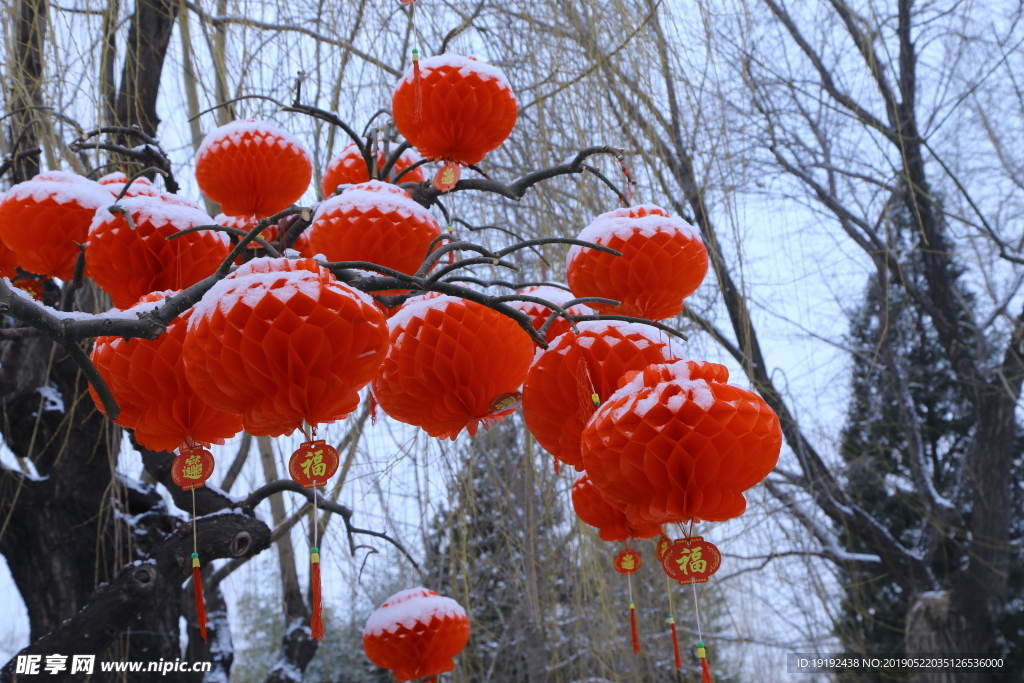 瑞雪大观园