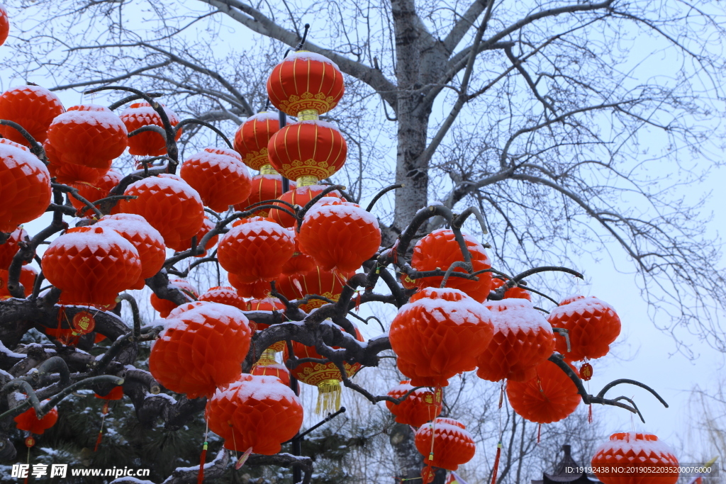 瑞雪大观园