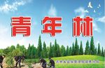 青年林