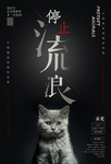 停止流浪海报