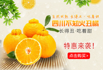 不知火丑橘清新风格banner