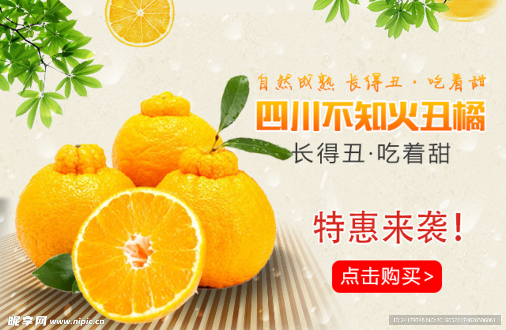 不知火丑橘清新风格banner