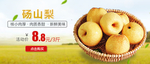 砀山梨banner图