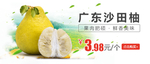 广东沙田柚banner图