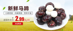 马蹄banner图