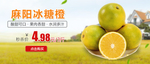 麻阳冰糖橙banner图