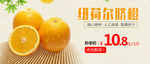 纽荷尔脐橙banner图