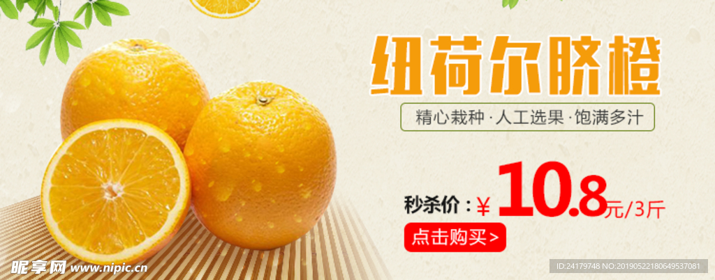 纽荷尔脐橙banner图