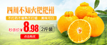 四川不知火粑粑柑banner