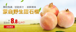 蒙自野生甜石榴banner图