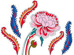 凤尾花
