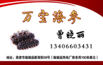 海参名片