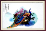 孔雀