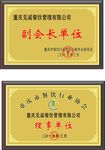 奖牌