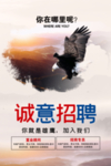 诚意招聘