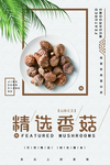 香菇