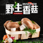 香菇