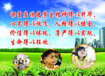 小学