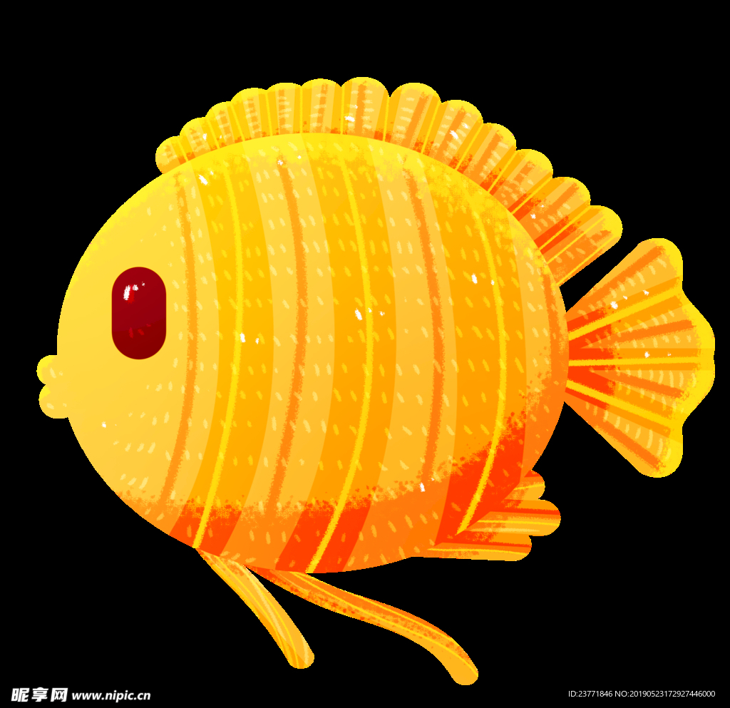 小黄鱼