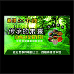泰锋红木海报