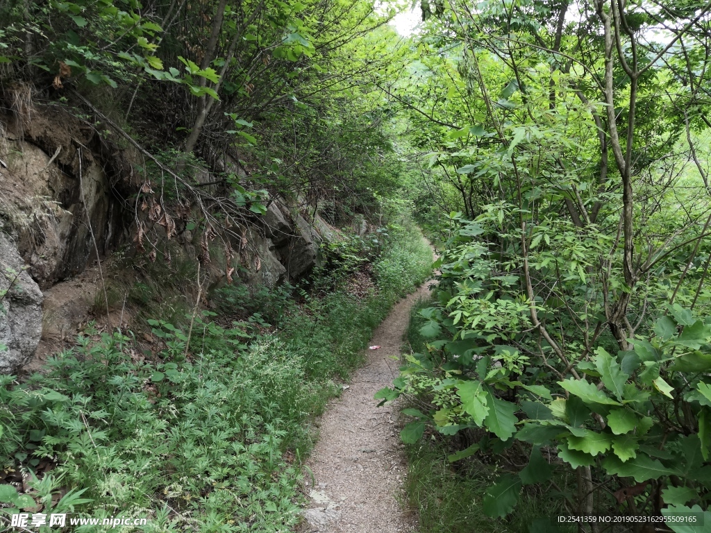 山间小路