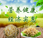 黄豆芽绿豆芽