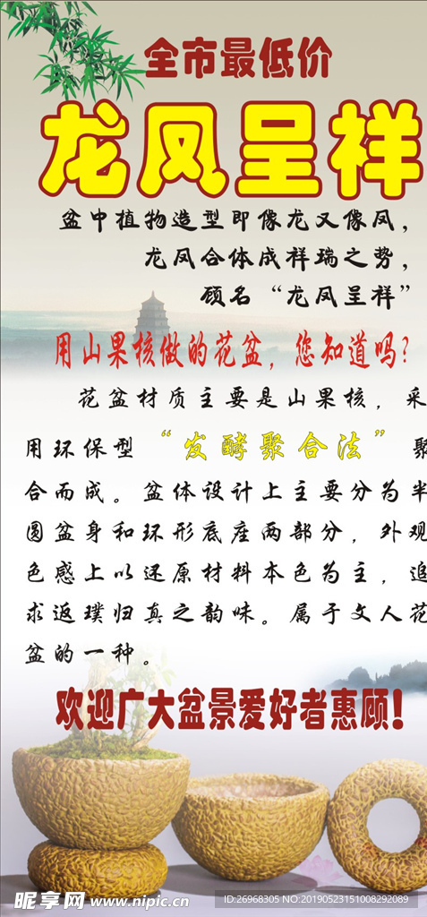 龙凤呈祥盆景展架