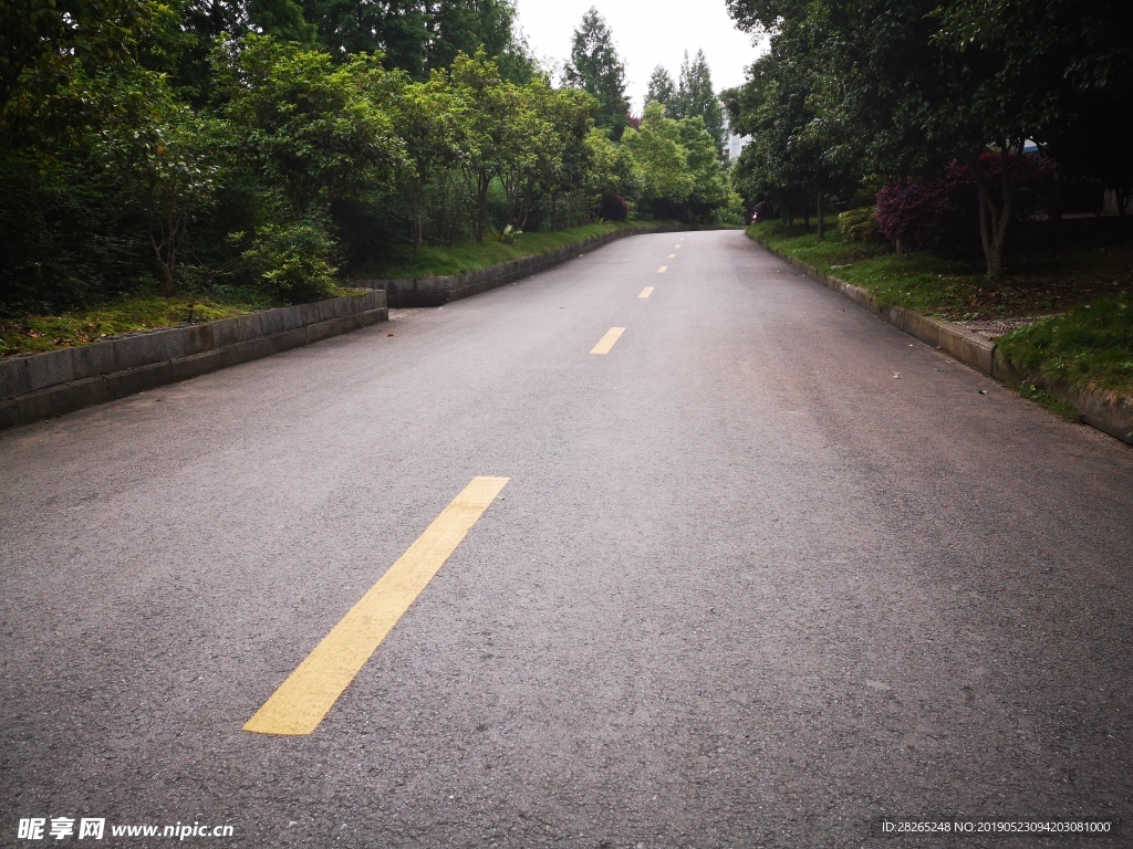 林中公路