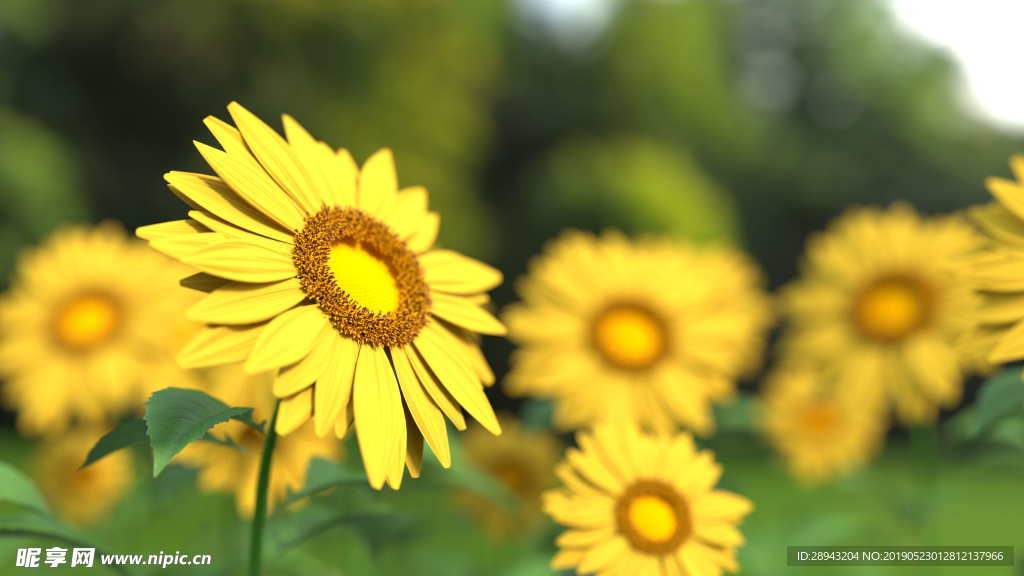 花