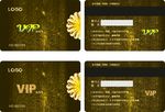 VIP卡4