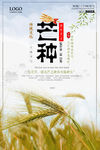 简约创意芒种节气海报