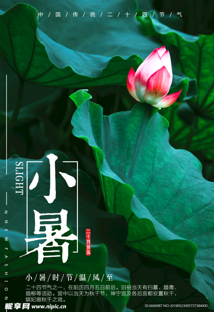 小暑海报二十四节气海报