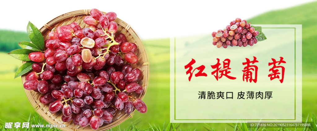葡萄轮播图海报
