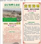 安记海鸭专卖展架画